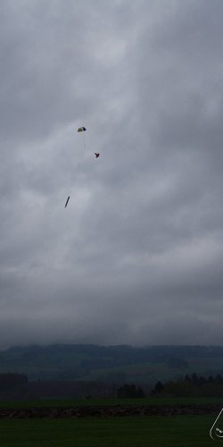 2013 Svojek Mirek Topinka